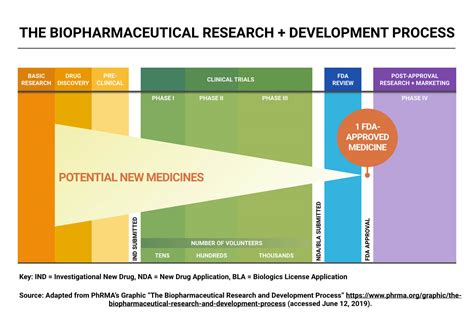 Basics of Drug Development