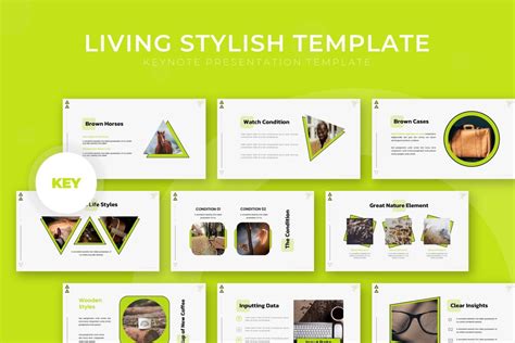 55+ Best Animated Keynote Templates 2024 - Theme Junkie