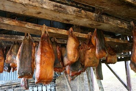 Hákarl – Fermented Shark in Iceland, one of world"s weirdest dish ...