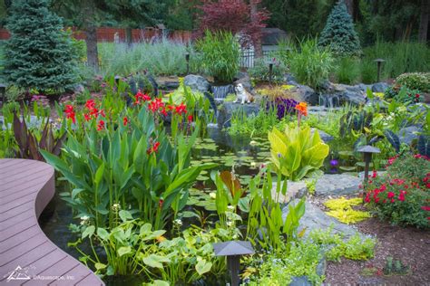 Top 10 Aquatic Plants for Water Features, Ponds, and Waterscapes