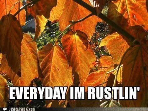 Happy Fall, Ya'll! | Monday Memes | Fall memes, Fall humor, Fall is here