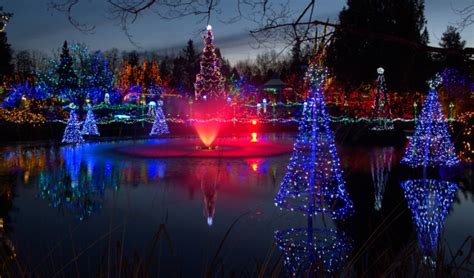 Local Christmas Lights Near Me - Christmas Trends 2021