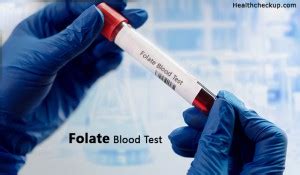 Folate Blood Test- Normal Range, Low And High