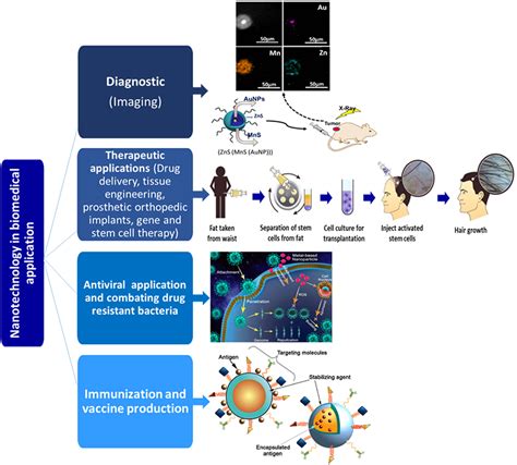 Nanotechnology-enabled biomedical engineering: Current trends, future ...