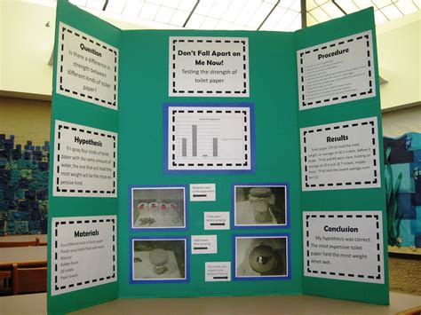 10 Famous Science Project Display Board Ideas 2024