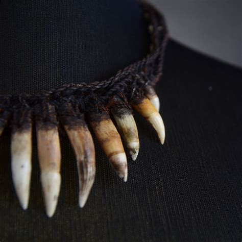 Crocodile Tooth Necklace - Collectible Tribal Artifacts