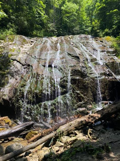 11 Top Hiking Trails near Boone NC