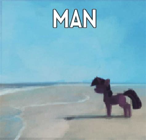 Man Horse Meme Discover more interesting Beach, Bojack, Horse, Horseman ...