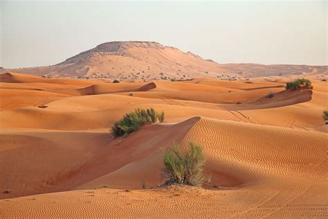 Arabian Desert - Arid, Sand, Heat | Britannica