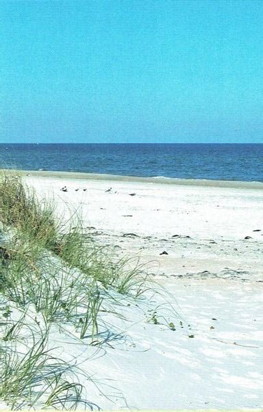 Dr. Julian G. Bruce St. George Island State Park - Carrabelle Chamber ...