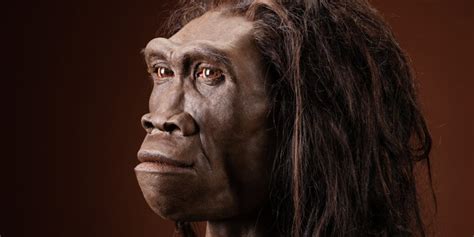 New study identifies last known occurrence of extinct human ancestor ...