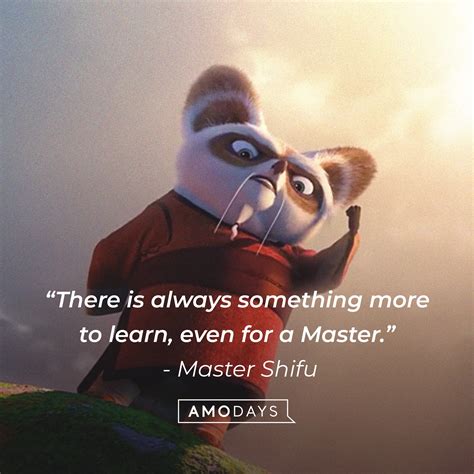 48 Master Shifu Quotes to Teach You Kung Fu Discipline