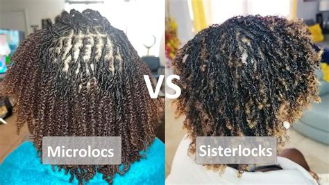 Microlocs Vs Sisterlocks: Choose The Best Compatible Braid For Your ...