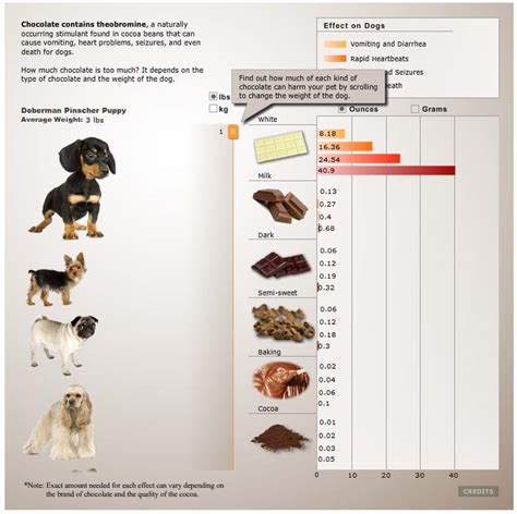 Chocolate Poisioning in Dogs: Theobromine & toxicity levels