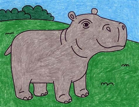 How To Draw A Hippopotamus