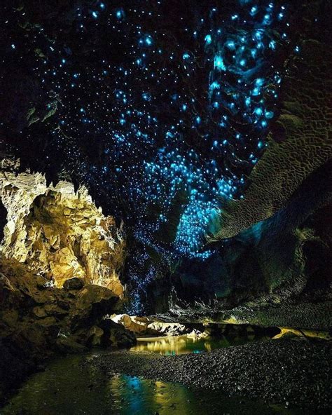 Waitomo Glowworm Caves, New Zealand | The Out Door Wear