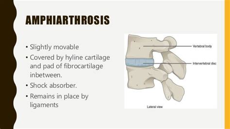 Classification of joints