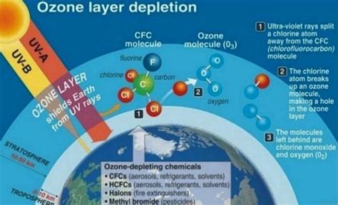 World Ozone Day - September 16 | Causes and Effects of Ozone Depletion ...