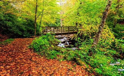 6 Tips for Enjoying the Smoky Mountains Fall Colors