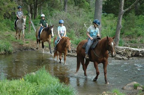 Royal Horseshoe Farm - Camps | Royal Horseshoe Farm - Trail Rides ...