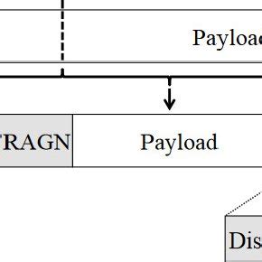 Fragmentation Process Overview | Download Scientific Diagram