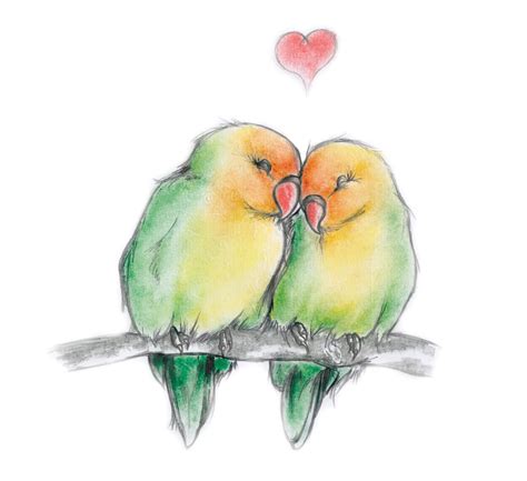 Love Birds Drawing Images Download - Birds Teahub Io | Bodewasude