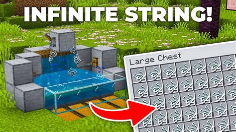 Infinite String Farm in Minecraft 1.20 & 1.21! (Duplication Glitch ...