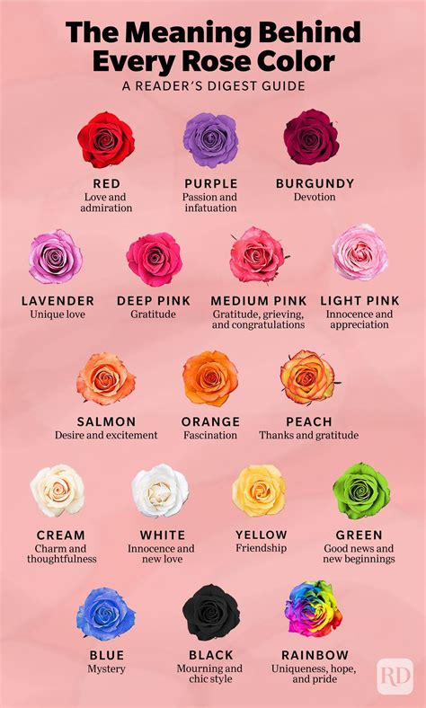 Rose color meanings, Flower meanings, Color meanings