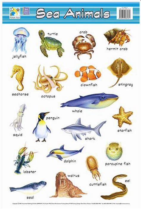 SEA ANIMALS CHART - Suva Book Shop