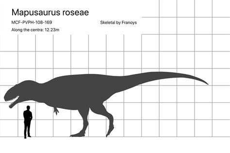 Mapusaurus roseae size comparison by carcharsauce on DeviantArt