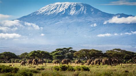 Mount Kilimanjaro Hiking Tours - K2 Adventure Travel