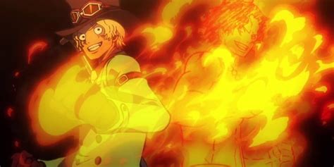 One Piece: Flame Emperor Sabo, Explained