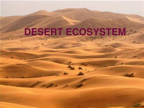 PPT - DESERT ECOSYSTEM PowerPoint Presentation, free download - ID:2084519