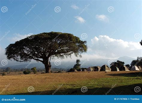 Camping in savannah stock photo. Image of evening, campground - 21747806