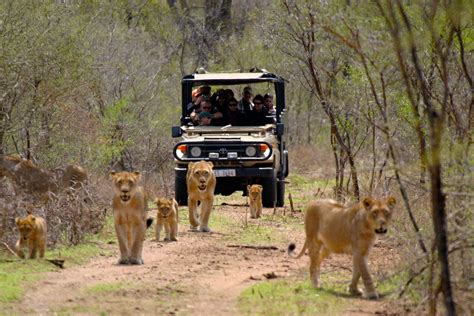 Kruger National park | Kruger Safaris | Kruger tours