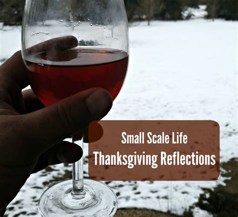 Thanksgiving Reflections - Small Scale Life