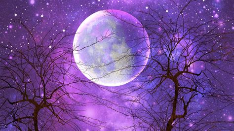 Purple Moon Wallpapers on WallpaperDog