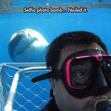 The 27 Funniest Selfie Photobombs Ever Caught on Film