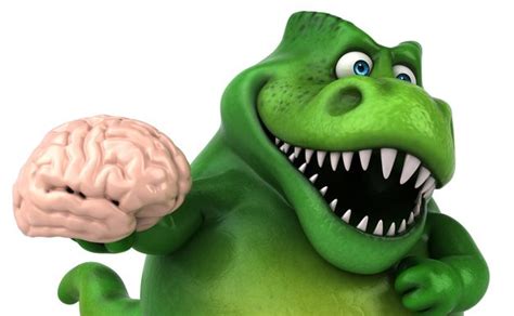 Panic Attacks: When Your “Lizard Brain” Feels Threatened - Rollins ...