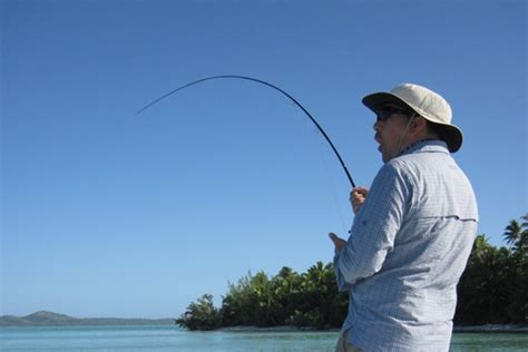 Pacific Fish Species (Part Two) - The Fishing Website