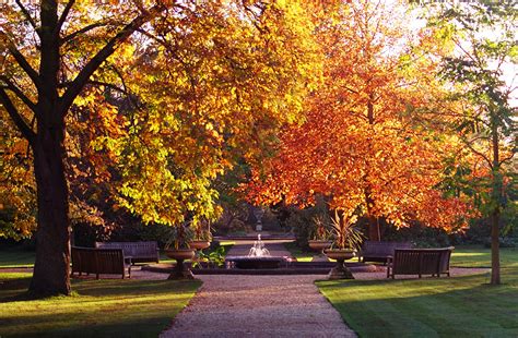 File:Oxford Botanic Garden in Autumn 2004.jpg - Wikimedia Commons