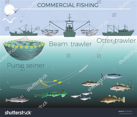 Types Fishing Boats Purse Seiner Beam Stock Vector (Royalty Free ...