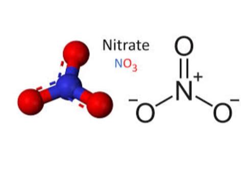 Nitrates in Drinking Water | Resources | Danamark Water Care