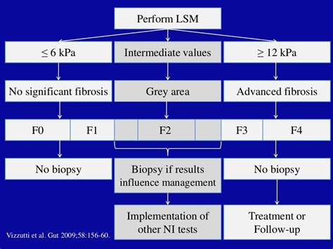 Liver stiffness measurement (fibroscan®)