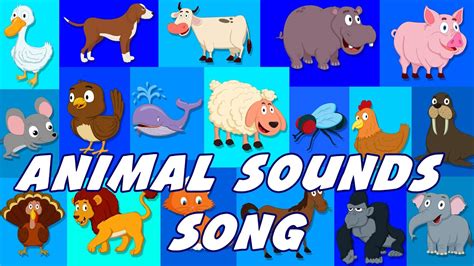 Animal Sounds Song | Sounds That Animals Make | Nursery Rhymes - YouTube