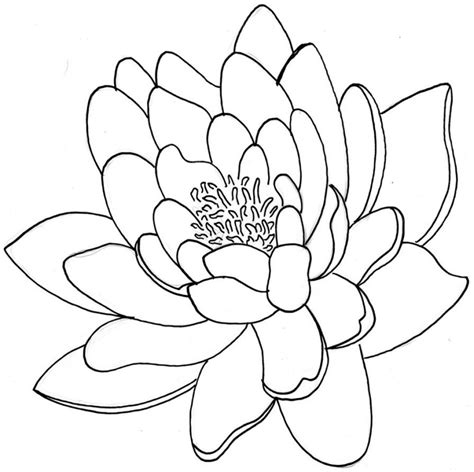 Lotus Flower Drawing Images at GetDrawings | Free download