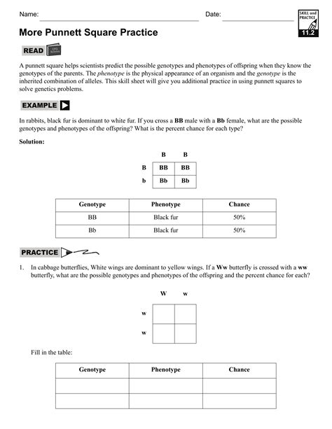 Punnet Square Practice