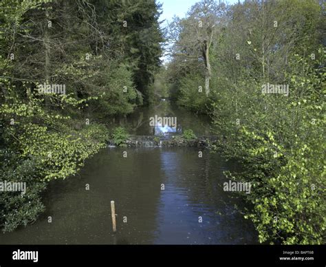 Stover Country Park Devon Stock Photo - Alamy