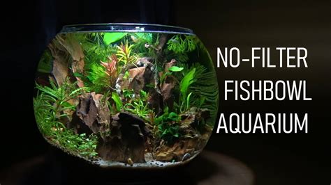 Understanding Aquarium Chemicals for Beginners – HousePetsCare.com