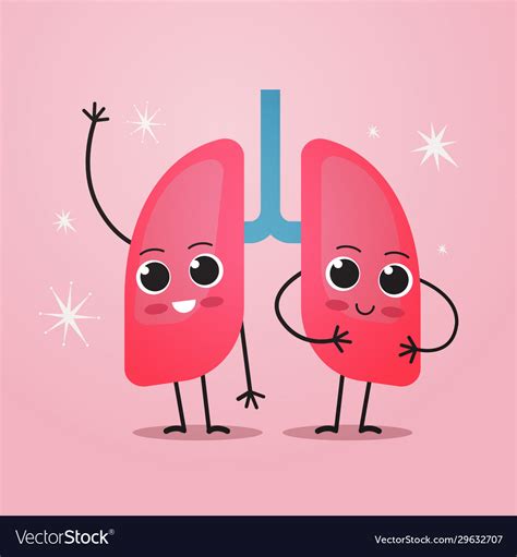 Cute lungs characters funny human internal mascot Vector Image